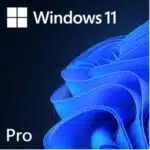 Windows 11 pro