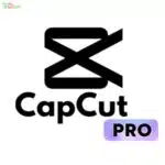 Capcut pro